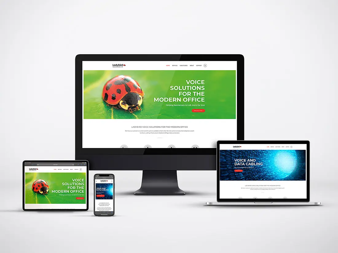 Website design and development