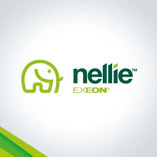 Branding and logo design