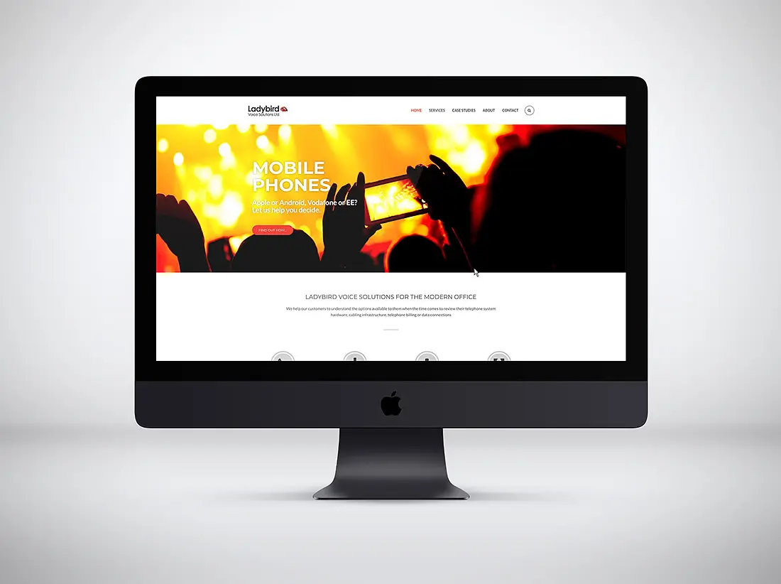 Web design and development